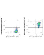 FcZero-rAb® Biotin Anti-Human Integrin Beta 1/CD29 (TS2/16) Rabbit Recombinant Antibody Biotin-FcA65601 proteintech