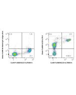 FcZero-rAb® Biotin Anti-Human CD31 (WM-59) Rabbit Recombinant Antibody Biotin-FcA65614 proteintech