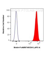 FcZero-rAb® Biotin Anti-Mouse CD41 (MWReg30) Rabbit Recombinant Antibody Biotin-FcA65674 proteintech