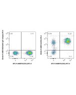 FcZero-rAb® Biotin Anti-Human CD2 Rabbit Recombinant Antibody Biotin-FcA98134 proteintech