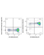FcZero-rAb® Biotin Anti-Mouse Fas/CD95 Rabbit Recombinant Antibody Biotin-FcA98135 proteintech