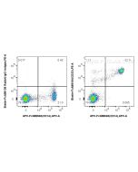 FcZero-rAb® Biotin Anti-Human CD33 Rabbit Recombinant Antibody Biotin-FcA98184 proteintech