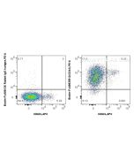 FcZero-rAb® Biotin Anti-Mouse CD44 Rabbit Recombinant Antibody Biotin-FcA98359-2 proteintech