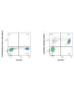 CoraLite® Plus 405 Anti-Human CD86 (BU63) Mouse IgG2a Recombinant Antibody CL405-65592 proteintech