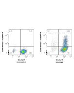 CoraLite® Plus 405 Anti-Mouse IL-17A Rabbit Recombinant Antibody CL405-98005 proteintech