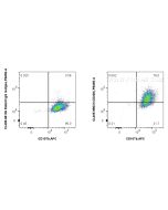 CoraLite® Plus 405 Anti-Mouse CD206 Rabbit Recombinant Antibody CL405-98031 proteintech