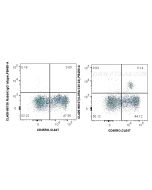 CoraLite® Plus 405 Anti-Human IL3RA/CD123 Rabbit Recombinant Antibody CL405-98107 proteintech