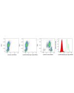 CoraLite® Plus 405 Rabbit IgG Isotype Control Recombinant Antibody CL405-98136 proteintech