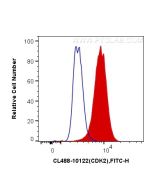 CoraLite® Plus 488-conjugated CDK2 Polyclonal antibody CL488-10122 proteintech