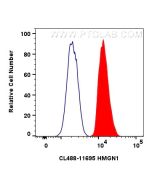 CoraLite® Plus 488-conjugated HMGN1 Polyclonal antibody CL488-11695 proteintech