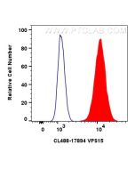 CoraLite® Plus 488-conjugated VPS15 Polyclonal antibody CL488-17894 proteintech