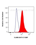 CoraLite® Plus 488-conjugated C1QBP Polyclonal antibody CL488-24474 proteintech