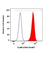 CoraLite® Plus 488-conjugated RanBP1 Polyclonal antibody CL488-27804 proteintech