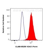 CoraLite® Plus 488-conjugated VDAC1/Porin Polyclonal antibody CL488-55259 proteintech