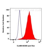 CoraLite® Plus 488-conjugated pan RAS Monoclonal antibody CL488-60309 proteintech
