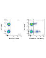 CoraLite® Plus 488 Anti-Human NCAM1/CD56 (B-A19) CL488-65264 proteintech