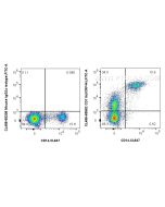 CoraLite® Plus 488 Anti-Human CD11b (ICRF44) Mouse IgG2a Recombinant Antibody CL488-65582 proteintech