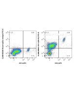CoraLite® Plus 488 Anti-Human CD11c (BU15) Mouse IgG2a Recombinant Antibody CL488-65600 proteintech