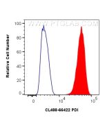 CoraLite® Plus 488-conjugated PDI Monoclonal antibody CL488-66422 proteintech