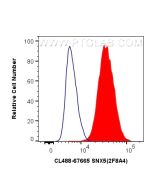 CoraLite® Plus 488-conjugated SNX5 Monoclonal antibody CL488-67665 proteintech