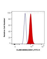 CoraLite® Plus 488-conjugated GEN1 Monoclonal antibody CL488-68060 proteintech