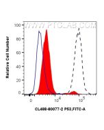CoraLite® Plus 488-conjugated Phospho-P53 (Ser392) Recombinant monoclonal antibody CL488-80077-2 proteintech