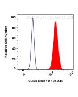 CoraLite® Plus 488-conjugated FBXO44 Recombinant monoclonal antibody CL488-82857-2 proteintech