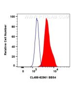 CoraLite® Plus 488-conjugated BBS4 Recombinant monoclonal antibody CL488-82961 proteintech