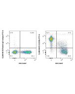 CoraLite® Plus 488 Anti-Mouse CD38 Rabbit Recombinant Antibody CL488-98433-3 proteintech