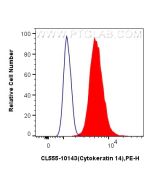 CoraLite® Plus 555-conjugated Cytokeratin 14 Polyclonal antibody CL555-10143 proteintech