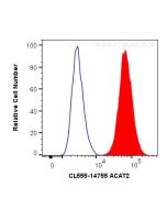CoraLite® Plus 555-conjugated ACAT2 Polyclonal antibody CL555-14755 proteintech