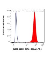 CoraLite®555-conjugated GATA1 Monoclonal antibody CL555-60011 proteintech