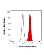 CoraLite®555-conjugated BAX Monoclonal antibody CL555-60267 proteintech