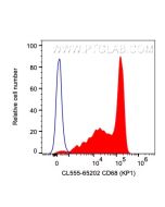 CoraLite® Plus 555 Anti-Human CD68 (KP1) CL555-65202 proteintech