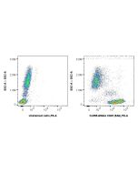 CoraLite® Plus 555 Anti-Human CD81 (5A6) Mouse IgG2a Recombinant Antibody CL555-65644 proteintech