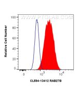 CoraLite®594-conjugated RAB27B Polyclonal antibody CL594-13412 proteintech