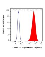 CoraLite®594-conjugated Cytokeratin 7-specific Polyclonal antibody CL594-17513 proteintech