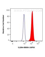CoraLite®594-conjugated USP9X Polyclonal antibody CL594-55054 proteintech