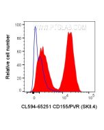 CoraLite® Plus 594 Anti-Human CD155/PVR (SKII.4) CL594-65251 proteintech