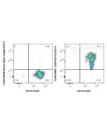 CoraLite®594 Anti-Human Integrin Beta 1/CD29 (TS2/16) Mouse IgG2a Recombinant Antibody CL594-65601 proteintech