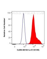 CoraLite®594-conjugated IL-27A p28 Monoclonal antibody CL594-66164 proteintech