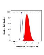 CoraLite®594-conjugated GLUT4 Monoclonal antibody CL594-66846 proteintech