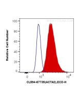 CoraLite®594-conjugated Alpha smooth muscle actin specific Monoclonal antibody CL594-67735 proteintech