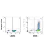 CoraLite®594 Anti-Mouse IL-17F Rabbit Recombinant Antibody CL594-98019 proteintech