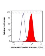 CoraLite®594 Anti-Mouse VEGFR2/CD309 Rabbit Recombinant Antibody CL594-98027-2 proteintech