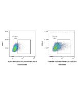 CoraLite®594 Anti-Mouse Tissue Factor/CD142 Rabbit Recombinant Antibody CL594-98114 proteintech
