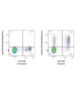 CoraLite®594 Anti-Human CRTAM/CD355 Rabbit Recombinant Antibody CL594-98157 proteintech