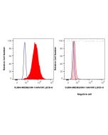 CoraLite®594 Anti-Human KIM-1/HAVCR1 Rabbit Recombinant Antibody CL594-98238 proteintech