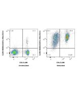 CoraLite®594 Anti-Mouse CD25/IL-2RA Rabbit Recombinant Antibody CL594-98288 proteintech