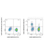 FcZero-rAb® CoraLite® Plus 594 Anti-Human NCAM1/CD56 Rabbit Recombinant Antibody CL594-FcA98033 proteintech